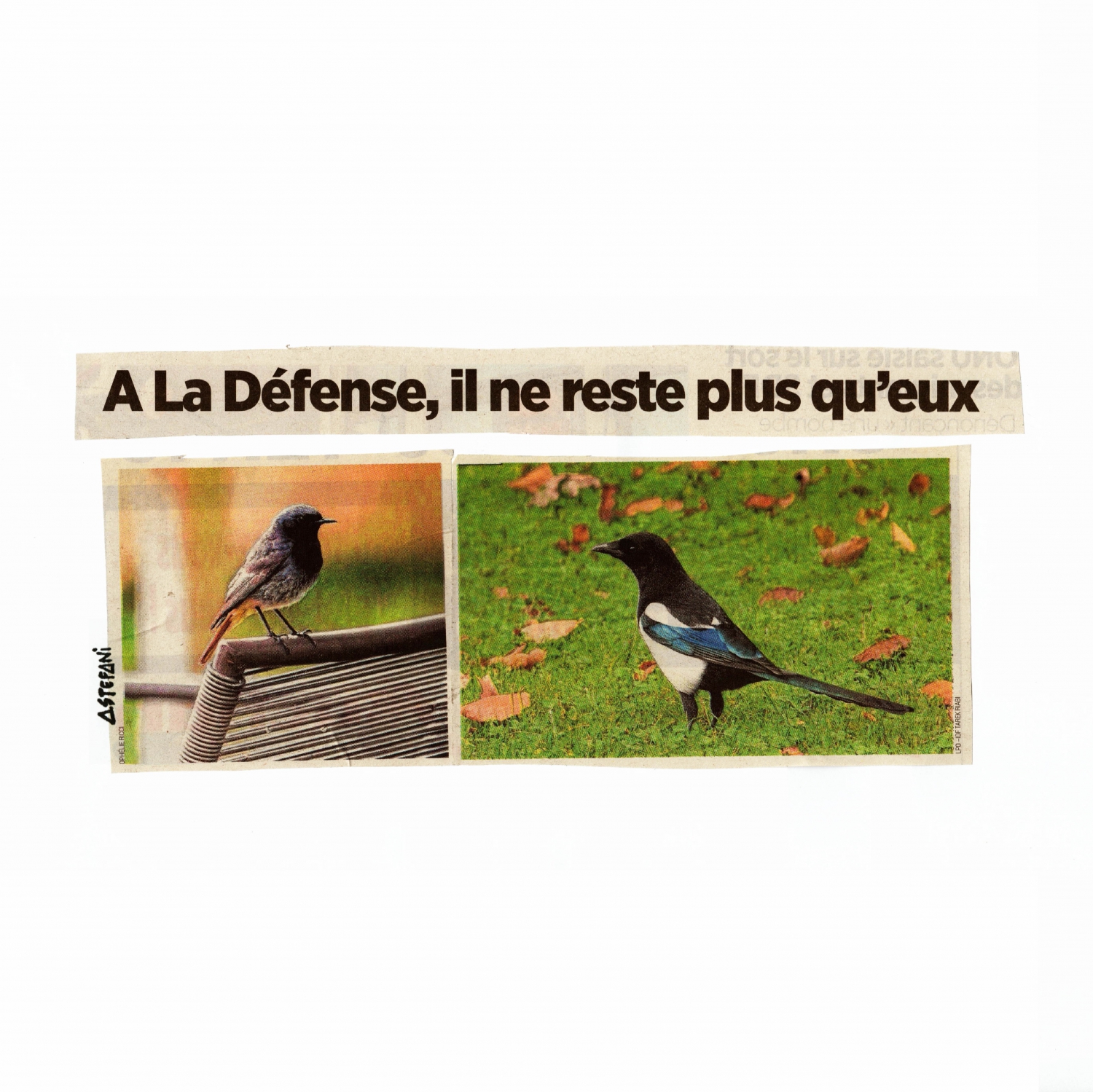 A la defense il ne reste plus qu eux